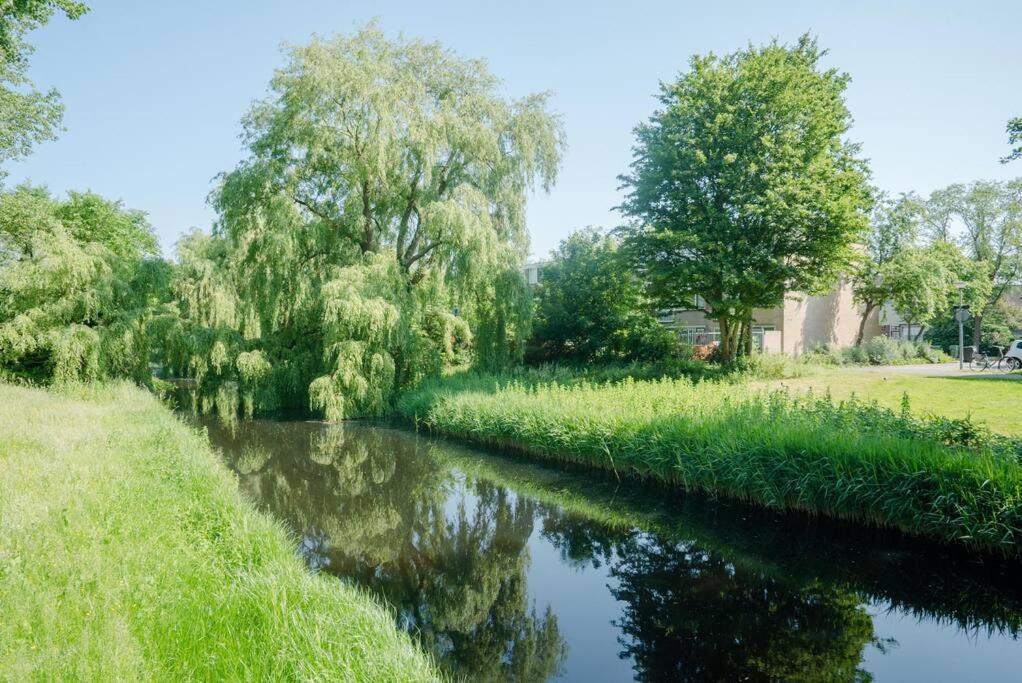 Cityhouse Alkmaar Buitenkant foto
